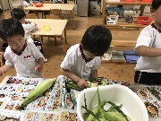 うみ組だより